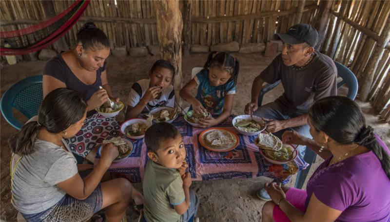 Familia compartiendo alimentos como símbolo de apoyo comunitario